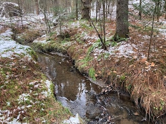 New York 8, Cold Brook, NY 13324