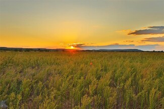 4 Buffalo Crossing, Tuscola, TX 79562