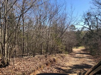TBD Alexander Ln, Mena, AR 71953