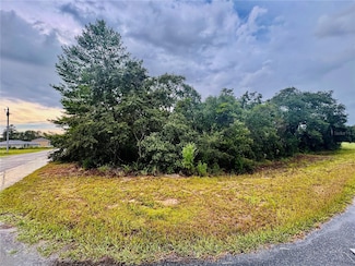 TBD SW 111th Place, Ocala, FL 34476
