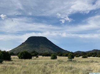 25 Coyote Trail Unit 180, Datil, NM 87821
