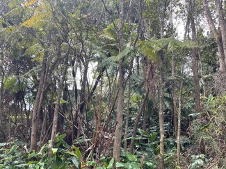 19-4273 Kekoa Nui Blvd, Volcano, HI 96785