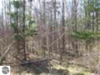 0000 Heerman Rd, Elk Rapids, MI 49629