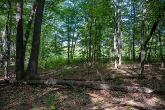 Lot 15 W Emerson Rd, Lemonweir, WI 53948