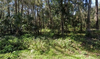 233 Zoller St, Brooksville, FL 34601