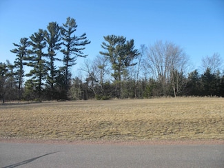 12.09 Acres Callon Ave, Weston, WI 54476