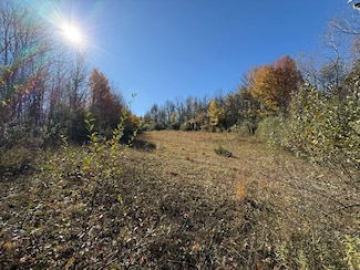 Wp01 Willowdale Dr, MacEdon, NY 14502