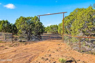 1170 Sapphire Ln, Show Low, AZ 85901