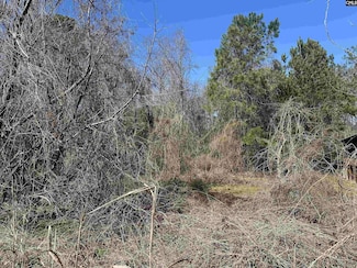 97 Charmont Dr, Columbia, SC 29223