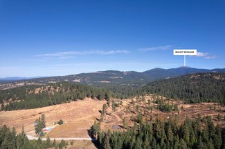 17007 E Bill Gulch Rd, Mead, WA 99021