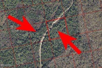 0 W of Interstate 95 Unit 683704, Oak Hill, FL 32759