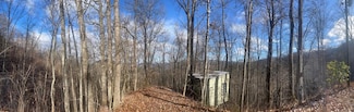 1877 Battle Branch Rd, Bryson City, NC 28713