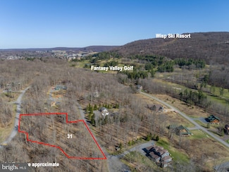 31 Hailees Ln, Mc Henry, MD 21541