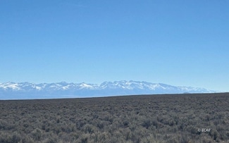 0 Coal Mine Canyon Rd, Ryndon, NV 89801