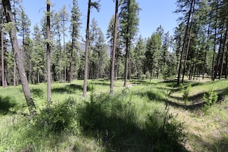 Nhn Cherry Creek Rd, Thompson Falls, MT 59873