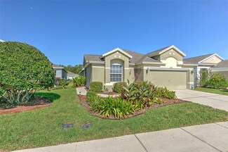 5046 Gato Del Sol Cir, Wesley Chapel, FL 33544