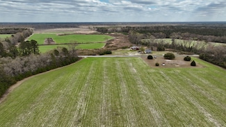 6014 Salkehatchie Rd, Early Branch, SC 29916