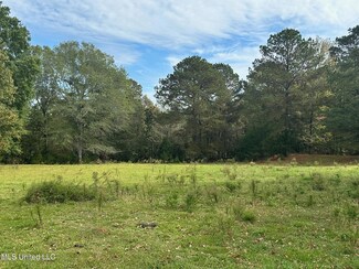 3 Ratliff Ferry Rd, Canton, MS 39046
