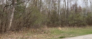 0 Birch Dr, Fraser Township, MI 48650