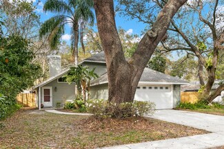 2412 Towery Trail, Lutz, FL 33549