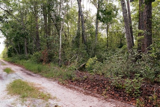 156 E Alachua St, Palatka, FL 32177