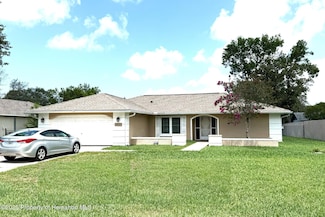 2425 Waterfall Dr, Spring Hill, FL 34608