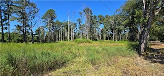 80 La Hwy 441 None, Holden, LA 70744