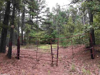 0 Highway 300 Unit 18025919, Roland, AR 72135