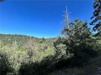 12 LOT Piney Ln, Lake Arrowhead, CA 92321