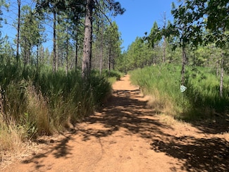 11880 Lost Ranch Way, Nevada City, CA 95959