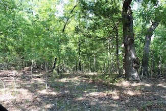 000 Lakeshore Rd Unit Lot 10, Protem, MO 65733