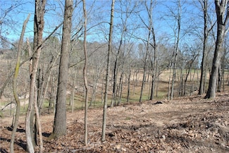 Lot 105 E Robin Rd, Rogers, AR 72756