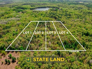 Lot 4 E Koenig Rd, Free Soil, MI 49411