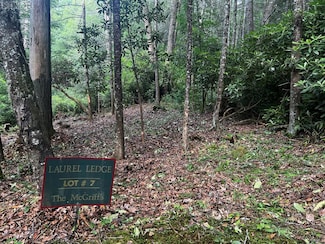 Lot #7 Cascade Falls Trail, Cashiers, NC 28717