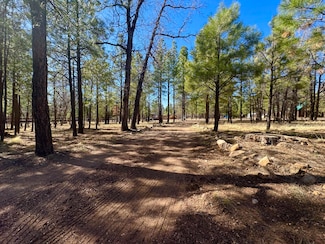 826 Jacks Canyon Dr, Happy Jack, AZ 86024