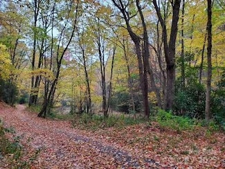 0000 Buffalo Ridge, Canton, NC 28716