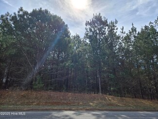 Lot 3 Momeyer Way, Momeyer, NC 27856