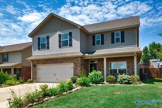 196 Fields Pond Dr, Madison, AL 35756