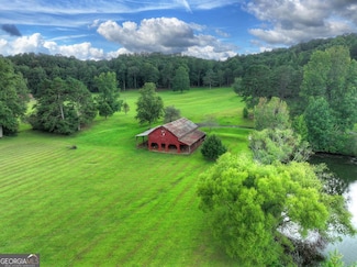 167 Whispering Pine Ln, Cherry Log, GA 30522