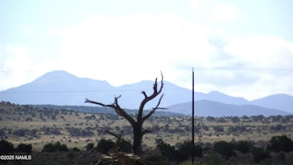 4216 S 2nd Ave, Valle, AZ 86046