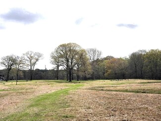 20 Acres Johnnie Doolittle Rd, Robeline, LA 71469