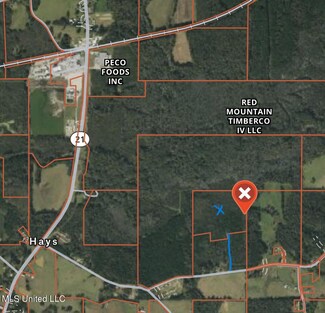 0 Abels Rd Unit 4033756, Forest, MS 39074