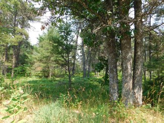 0 Ontario Blvd Unit 10 ACRES, Grayling, MI 49738