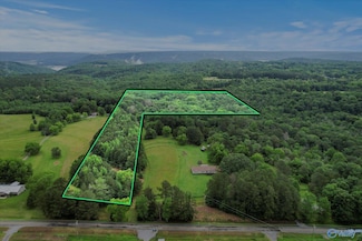 16 acres Georgia Mountain Rd, Guntersville, AL 35976