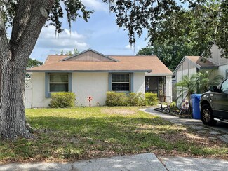 16035 Grass Lake Dr, Tampa, FL 33618