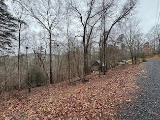 702 Kismet Ct, Ellijay, GA 30540
