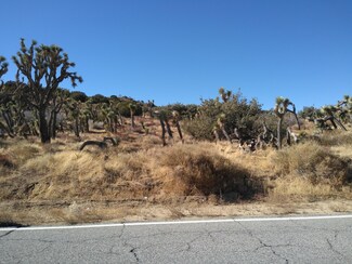 0 Longview Rd S O Old Homestead Rd Unit 20009471, Juniper Hills, CA 93543