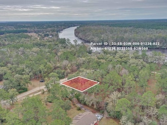 TBD Pamela Place, Sopchoppy, FL 32358