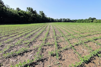 Vl Tucker Rd Lot Unit WP001, Eaton Rapids, MI 48827