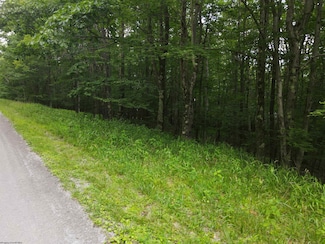 138 Day Lily Cir, Terra Alta, WV 26764